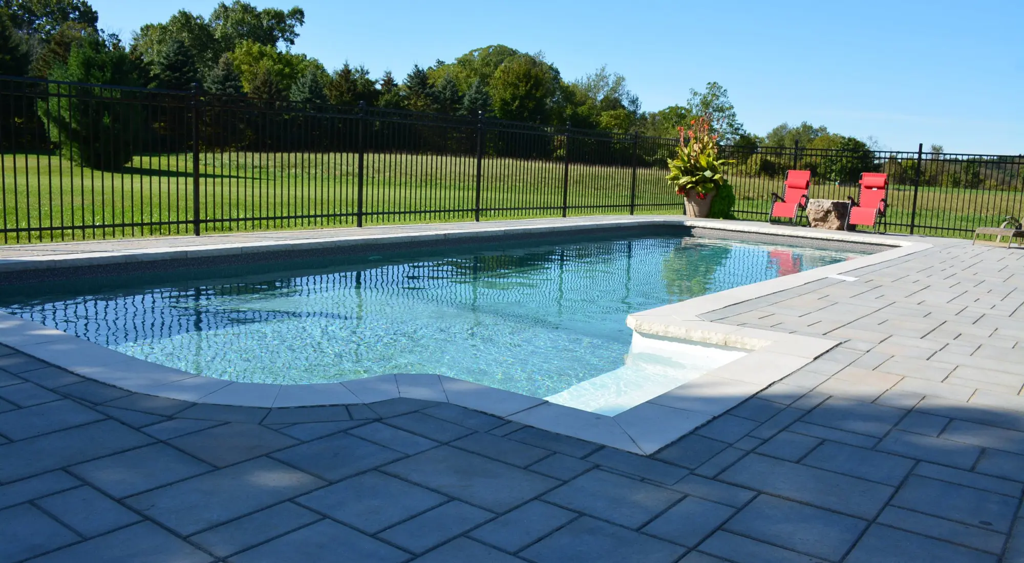 Inground pool with paver deck and black fence
