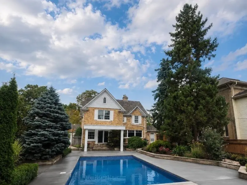 Renovated backyard pool and new concrete